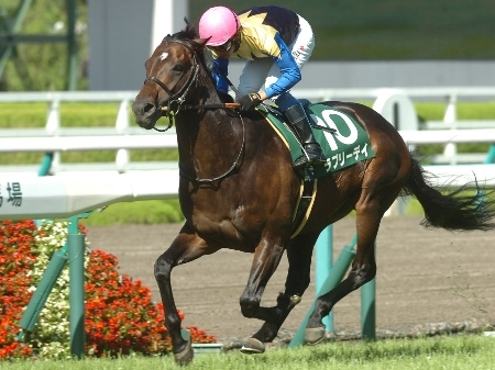 宝塚記念,ラブリーデイ 宝塚記念,ラブリーデイ