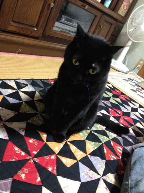 f:id:takasemika:20130620210820j:plain f:id:takasemika:20130620210820j:plain