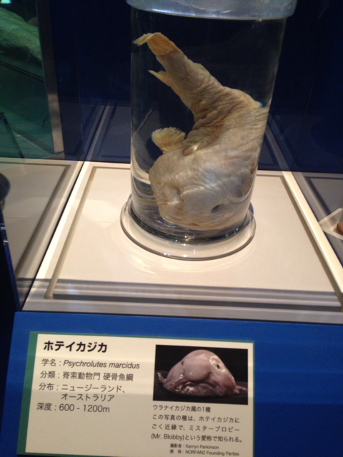 f:id:takasemika:20130901161832j:plain f:id:takasemika:20130901161832j:plain