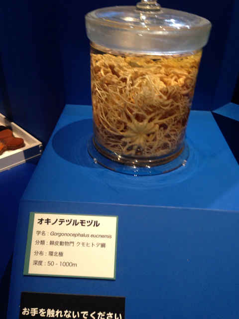 f:id:takasemika:20130901161926j:plain f:id:takasemika:20130901161926j:plain