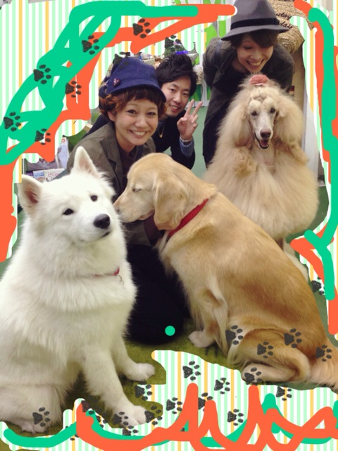 f:id:takasemika:20131111195820j:plain f:id:takasemika:20131111195820j:plain