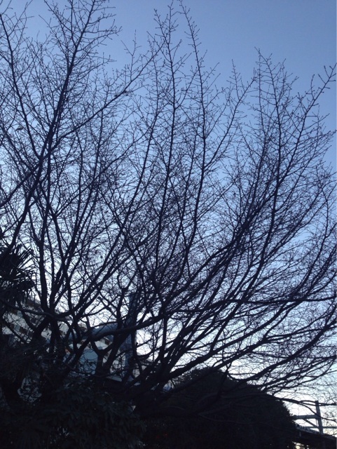 f:id:takasemika:20140110230820j:plain f:id:takasemika:20140110230820j:plain