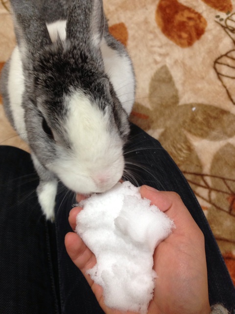f:id:takasemika:20140209102220j:plain f:id:takasemika:20140209102220j:plain