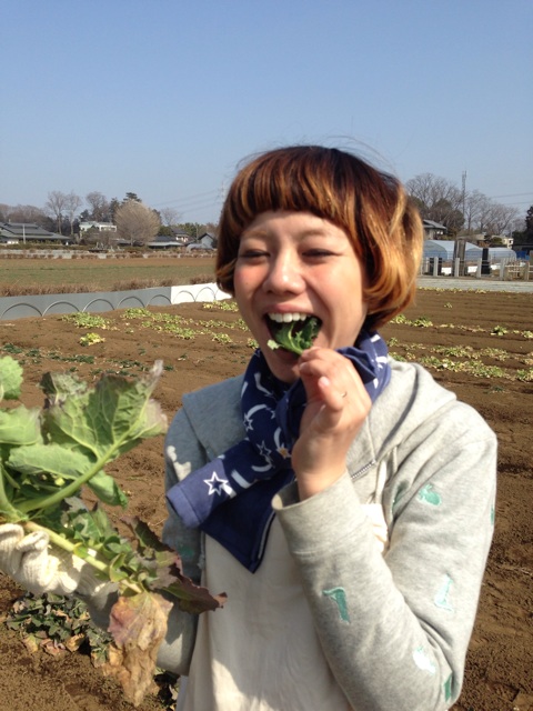 f:id:takasemika:20140325154622j:plain f:id:takasemika:20140325154622j:plain
