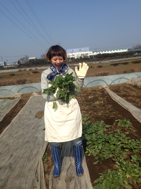 f:id:takasemika:20140325155743j:plain f:id:takasemika:20140325155743j:plain