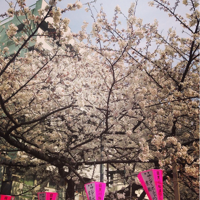 f:id:takasemika:20140403214100j:plain f:id:takasemika:20140403214100j:plain