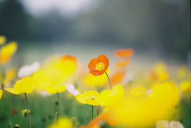 f:id:takashoooo:20150427191056j:image f:id:takashoooo:20150427191056j:image