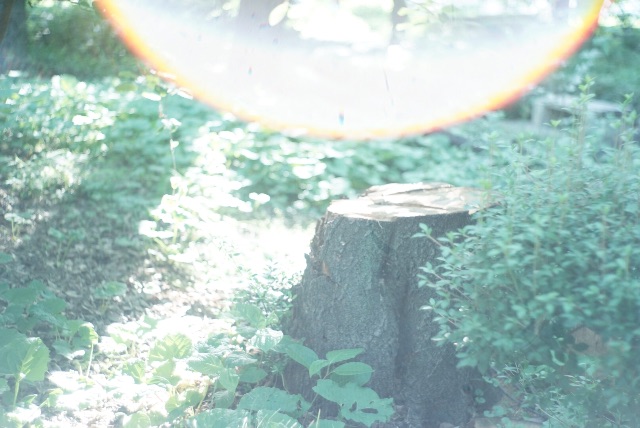 f:id:takashoooo:20150524214624j:image f:id:takashoooo:20150524214624j:image