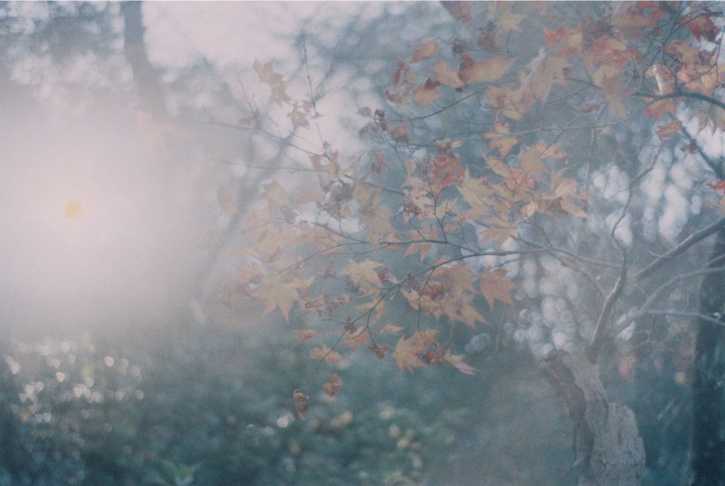 f:id:takashoooo:20151213102021j:image f:id:takashoooo:20151213102021j:image