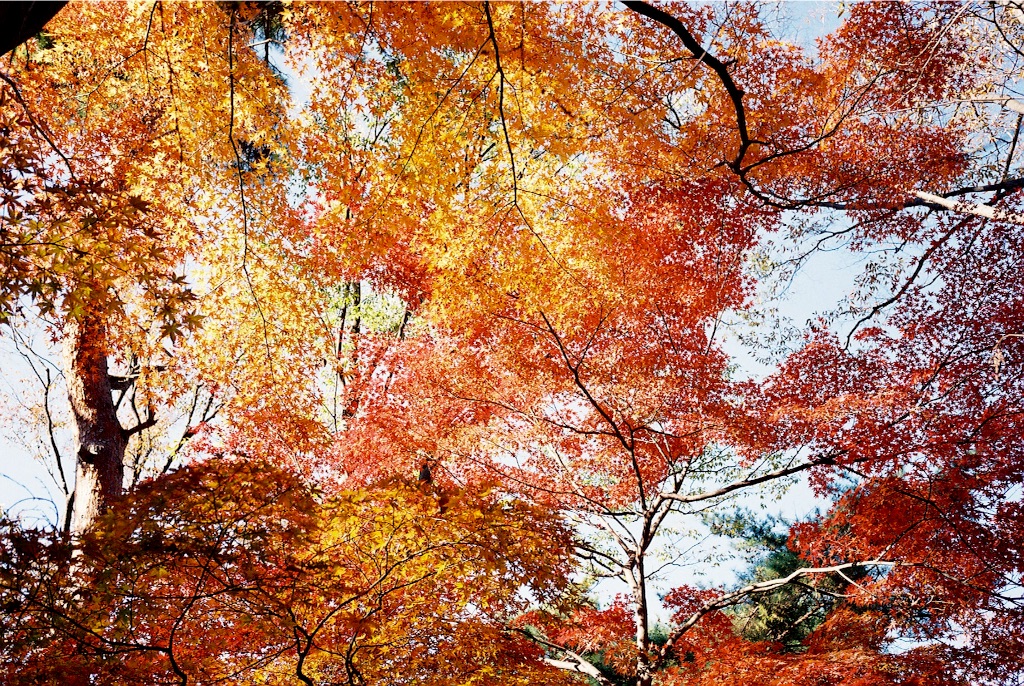 f:id:takashoooo:20151213102107j:image f:id:takashoooo:20151213102107j:image