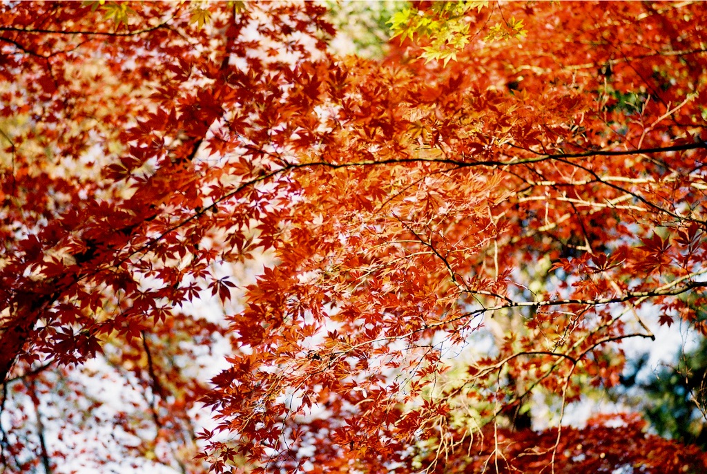 f:id:takashoooo:20151213102125j:image f:id:takashoooo:20151213102125j:image