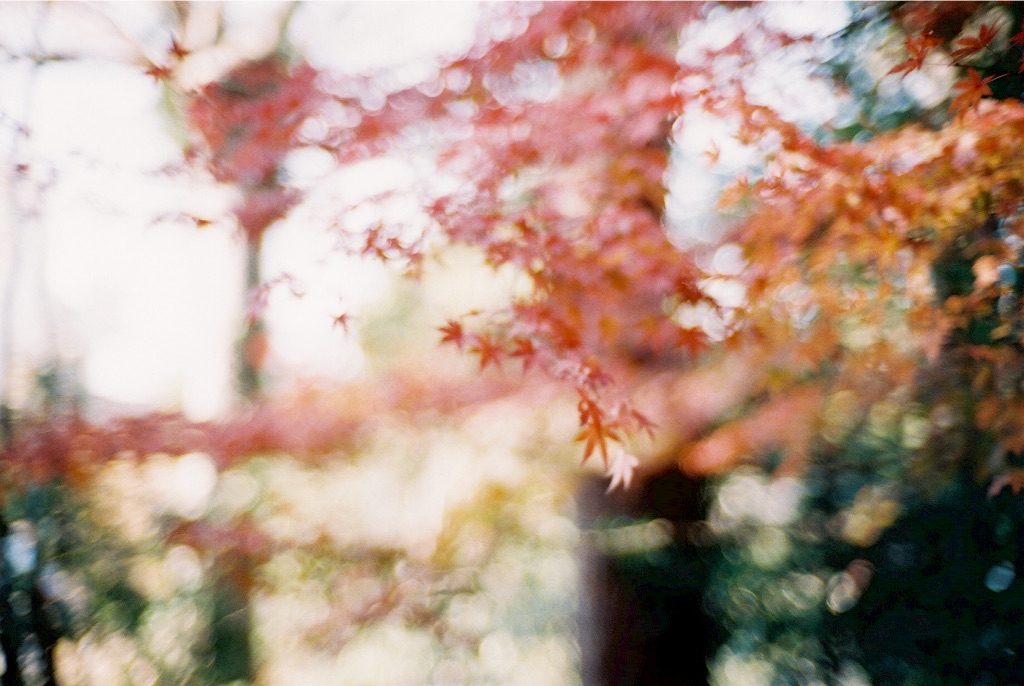 f:id:takashoooo:20151213102251j:image f:id:takashoooo:20151213102251j:image