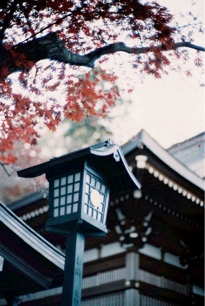 f:id:takashoooo:20151213102314j:image f:id:takashoooo:20151213102314j:image
