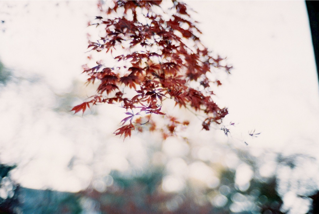 f:id:takashoooo:20151213102325j:image f:id:takashoooo:20151213102325j:image
