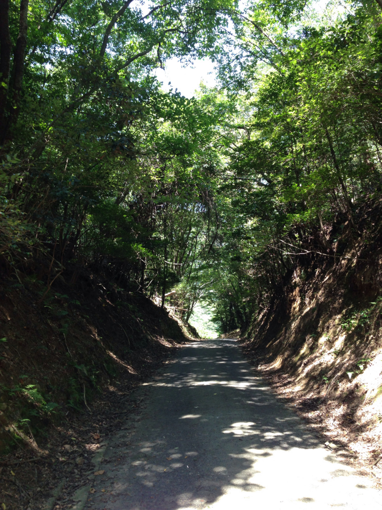 f:id:takatakamanbou:20140818222841j:plain f:id:takatakamanbou:20140818222841j:plain
