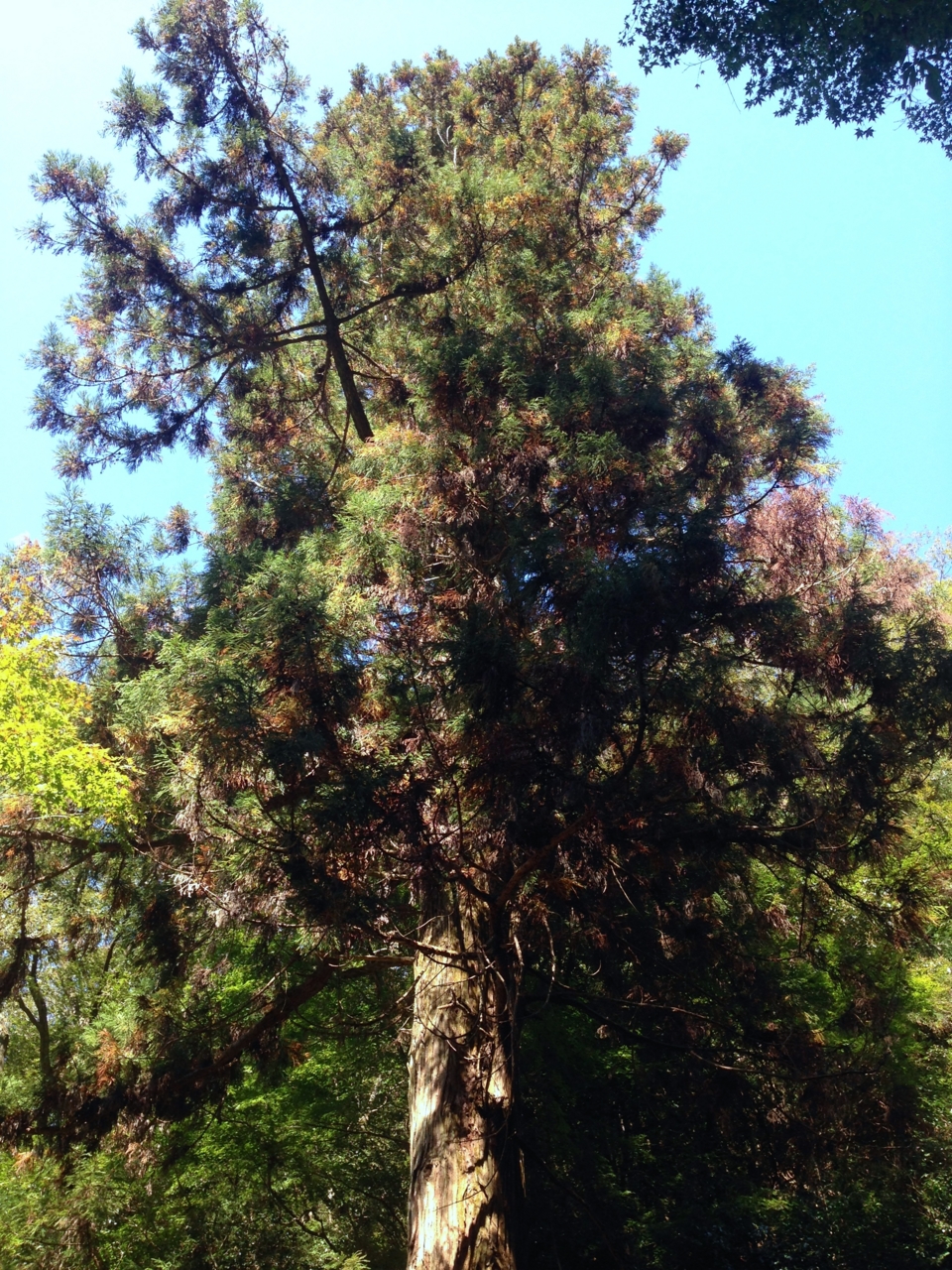 f:id:takatakamanbou:20141018190806j:plain f:id:takatakamanbou:20141018190806j:plain