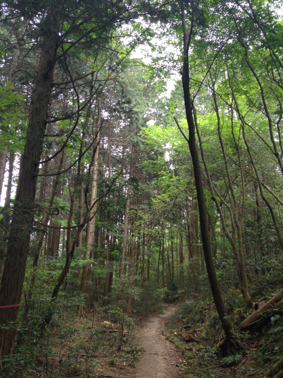 f:id:takatakamanbou:20150503211543j:plain f:id:takatakamanbou:20150503211543j:plain