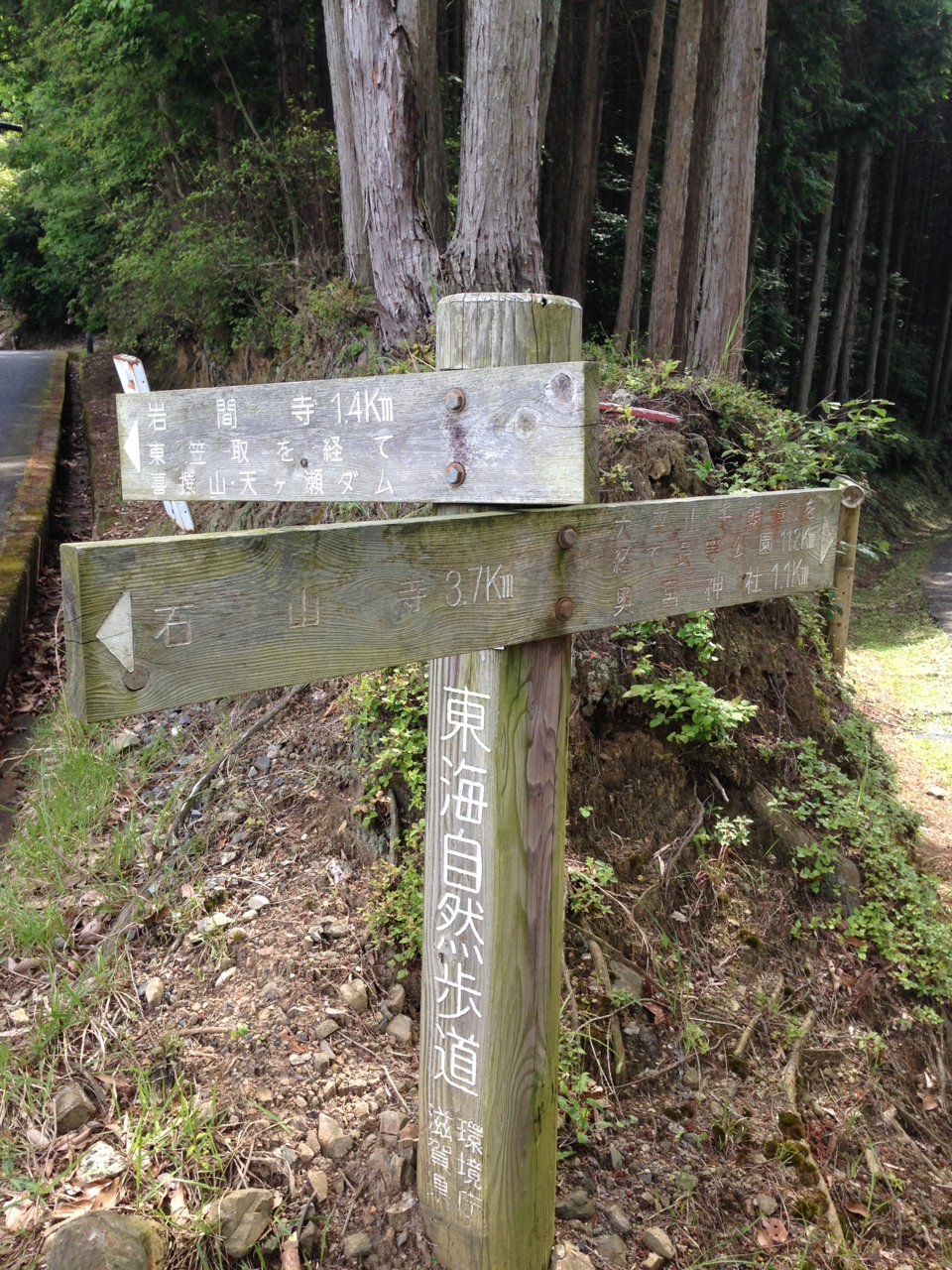 f:id:takatakamanbou:20150517160620j:plain f:id:takatakamanbou:20150517160620j:plain