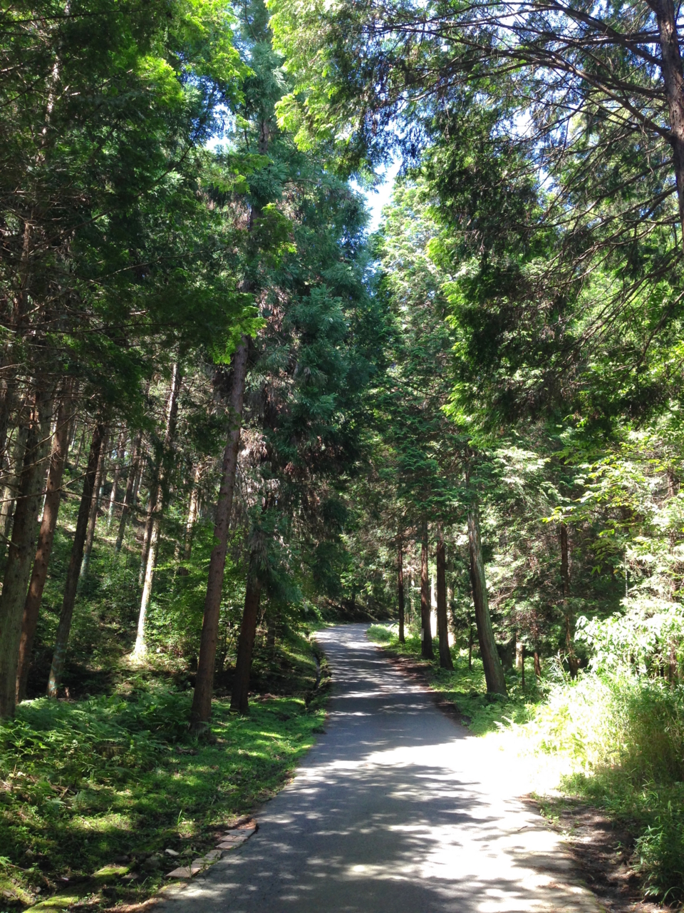 f:id:takatakamanbou:20150726192854j:plain