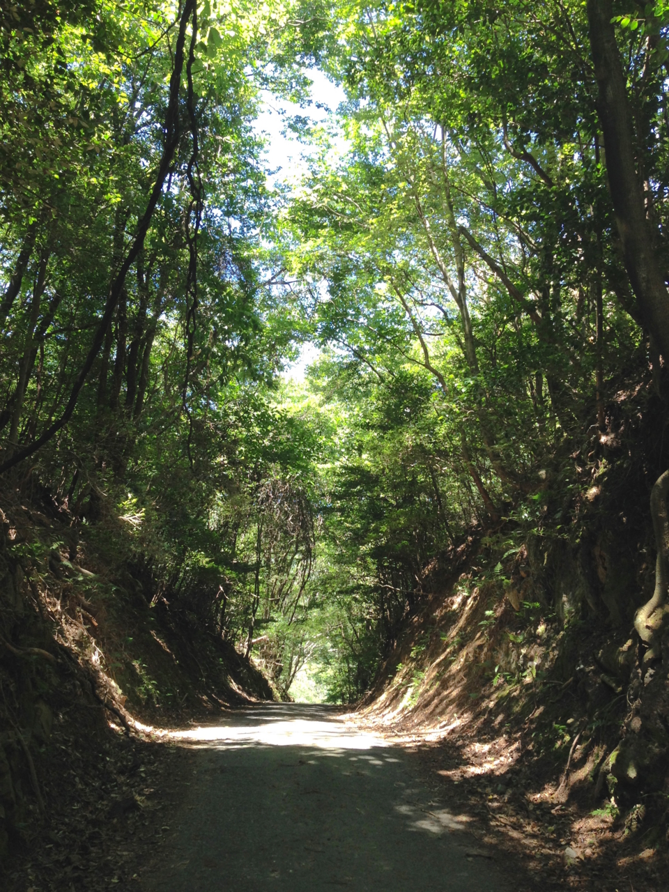 f:id:takatakamanbou:20150726210113j:plain