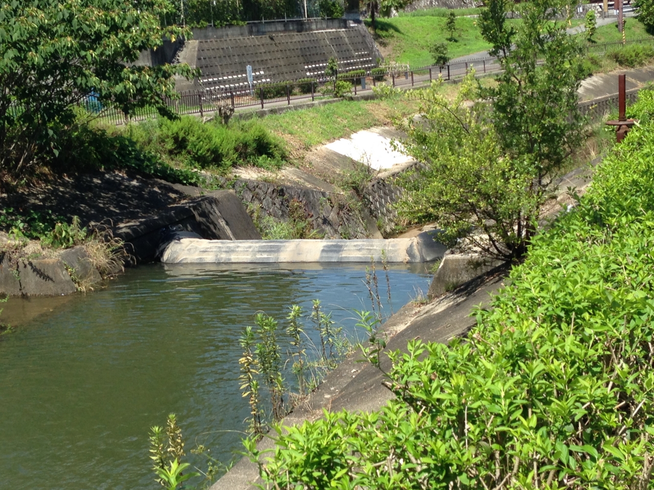 f:id:takatakamanbou:20150726211024j:plain