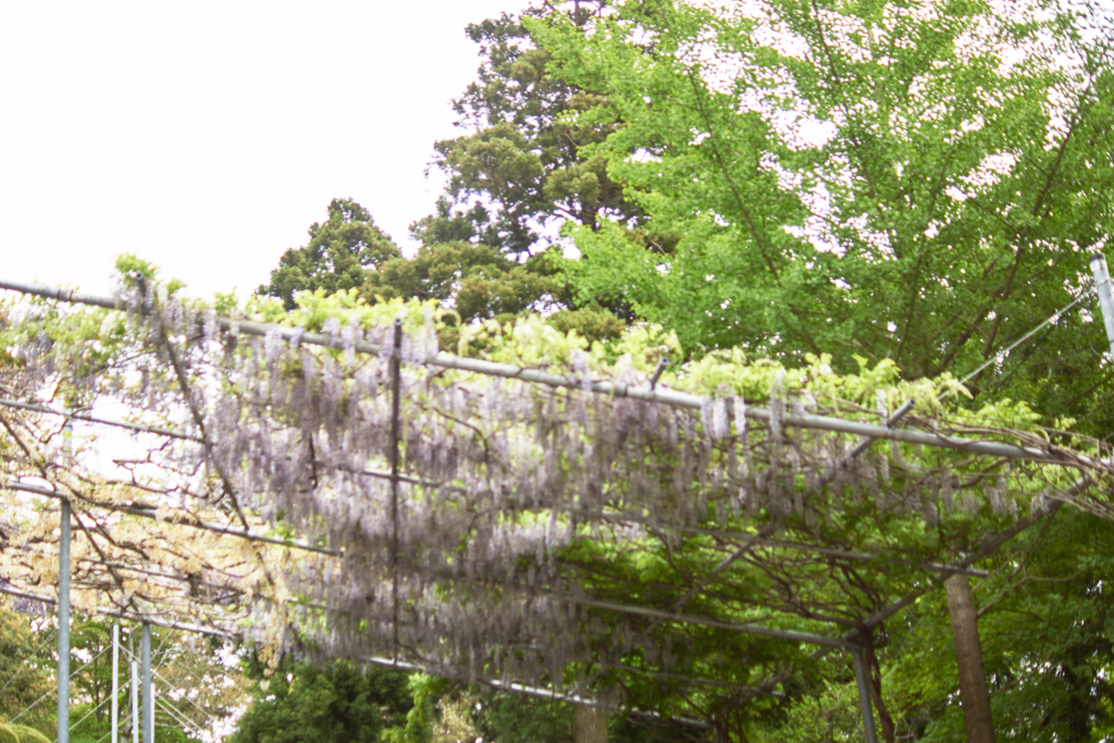 f:id:takayuta818:20160505125357j:plain