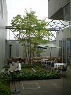 f:id:take369:20110510225617j:image:left f:id:take369:20110510225617j:image:left