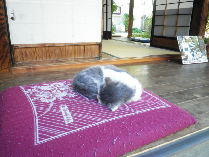 f:id:take369:20111206092516j:image:w360 f:id:take369:20111206092516j:image:w360