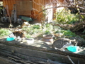 f:id:take369:20111206092548j:image:medium:left f:id:take369:20111206092548j:image:medium:left