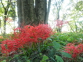 f:id:take369:20121003232900j:image:medium:left f:id:take369:20121003232900j:image:medium:left