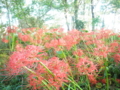 f:id:take369:20121003232917j:image:medium:left f:id:take369:20121003232917j:image:medium:left