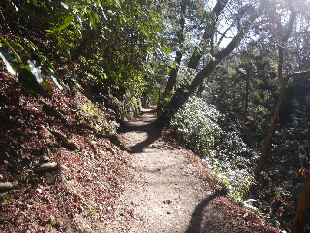 f:id:take_she12:20160113202833j:plain:w500