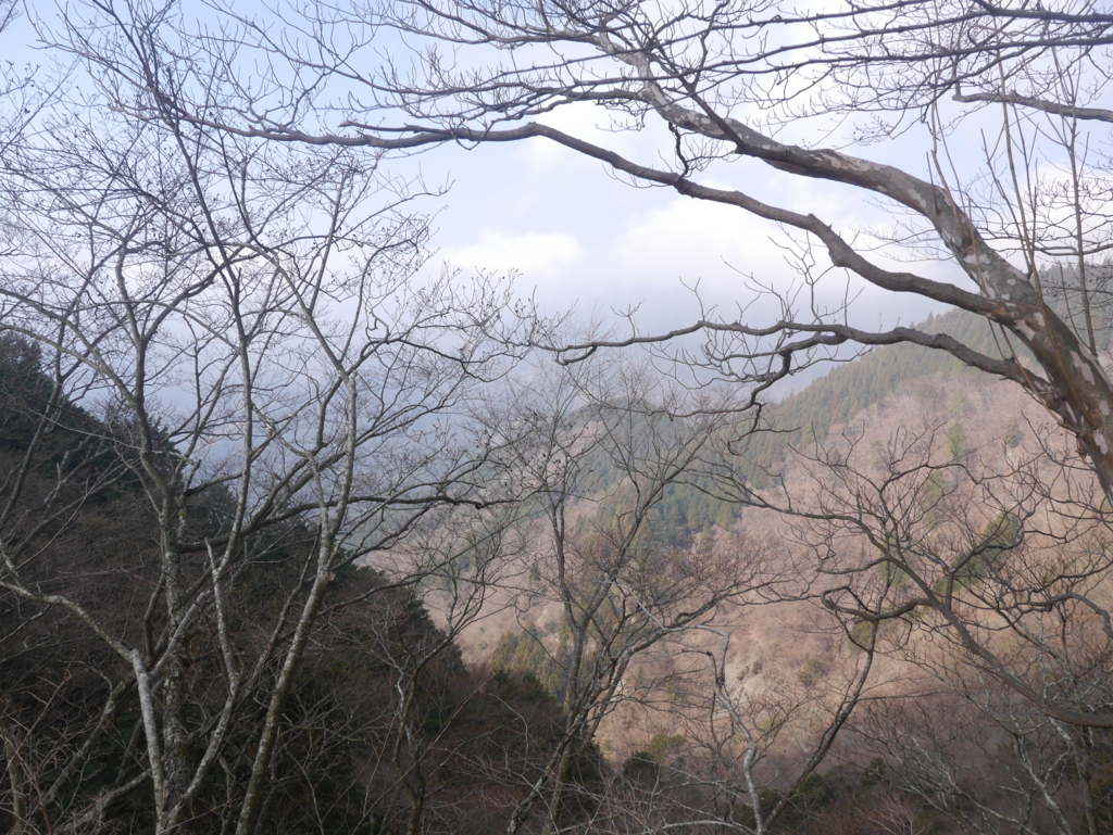 f:id:take_she12:20160312214513j:plain f:id:take_she12:20160312214513j:plain