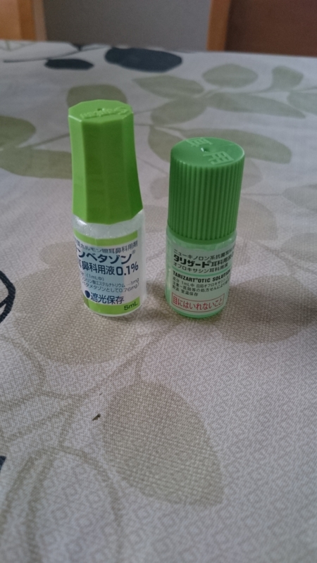 f:id:takenohanashi:20150515070121j:plain f:id:takenohanashi:20150515070121j:plain