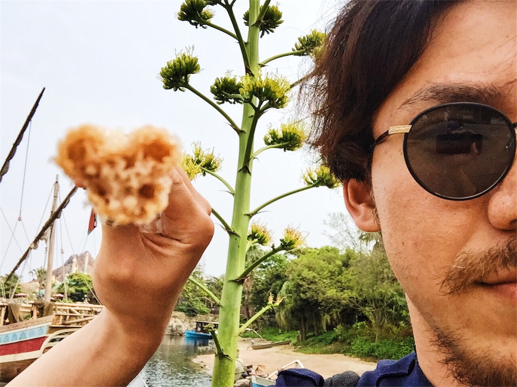 f:id:takenoko6285:20160502210755j:image f:id:takenoko6285:20160502210755j:image