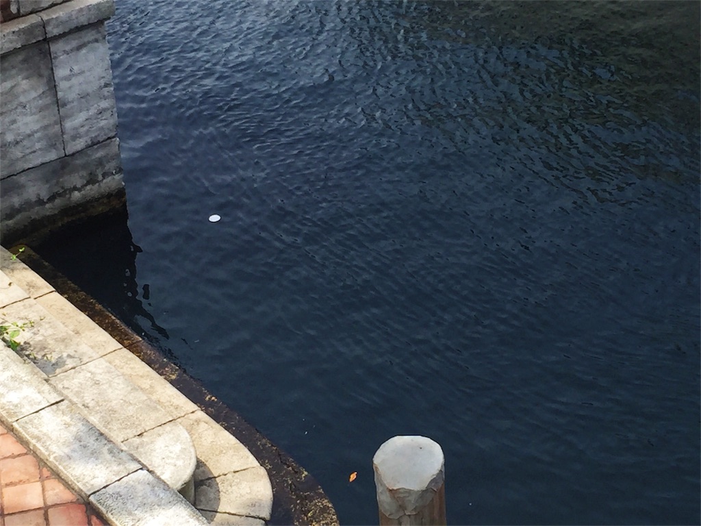 f:id:takenoko6285:20160504094855j:image f:id:takenoko6285:20160504094855j:image