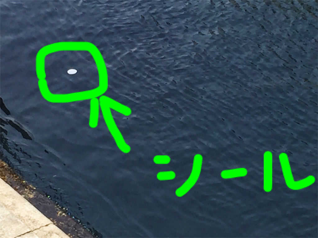 f:id:takenoko6285:20160504095043p:image f:id:takenoko6285:20160504095043p:image