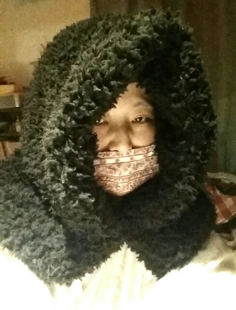 f:id:taketsurutanuki:20160228011140j:image f:id:taketsurutanuki:20160228011140j:image