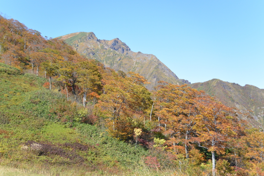 f:id:takhino:20141011113754j:image