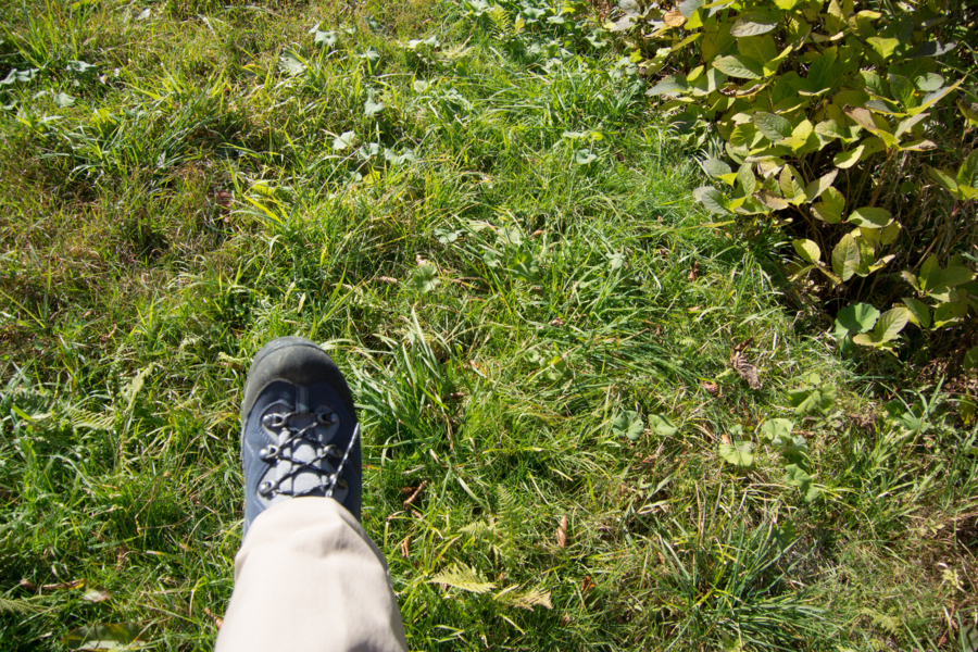 f:id:takhino:20141011114249j:image