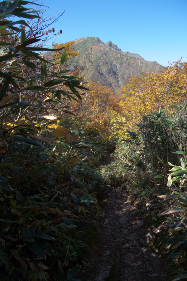 f:id:takhino:20141011121241j:image