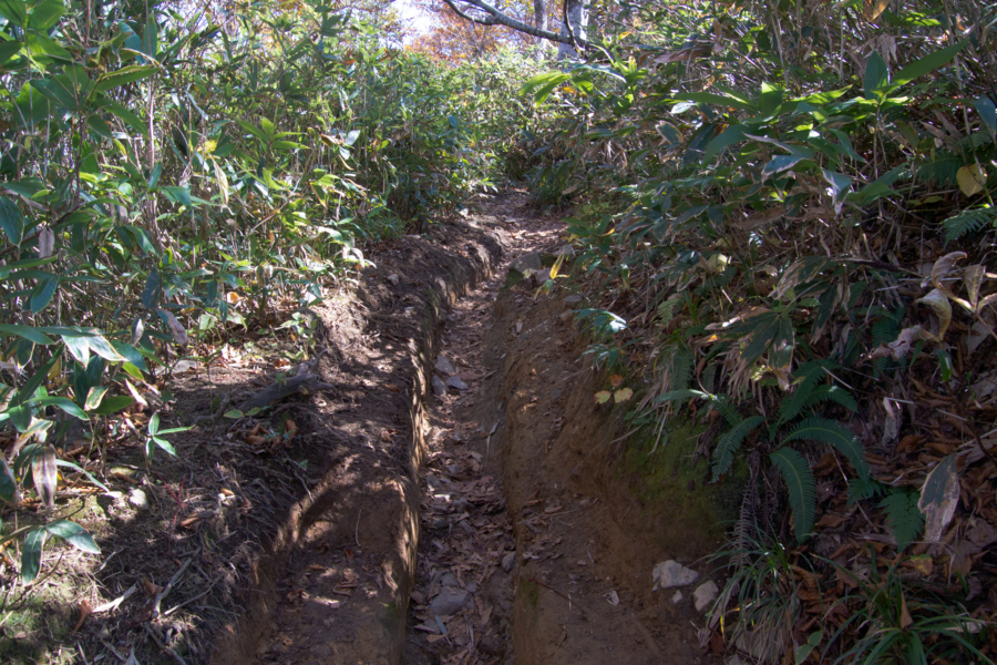 f:id:takhino:20141011121408j:image