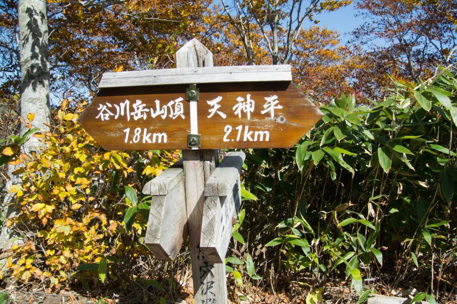 f:id:takhino:20141011123351j:image