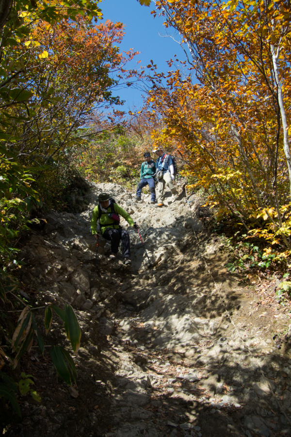 f:id:takhino:20141011123526j:image