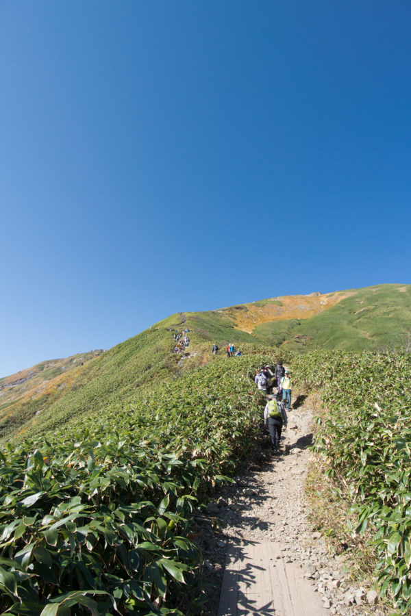 f:id:takhino:20141011131307j:image