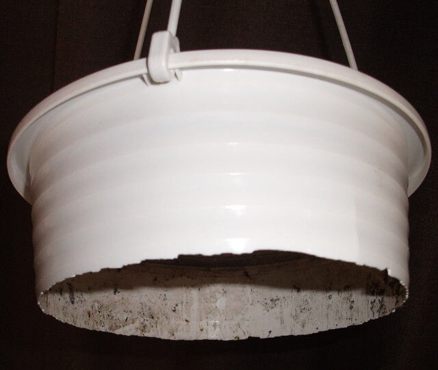 底の抜けたプラスチックの鉢を横から見たところ