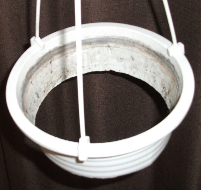 底の抜けたプラスチックの鉢を上から覗いて見たところ