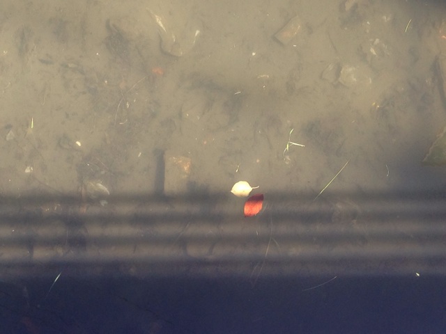f:id:takinao:20140914230039j:plain f:id:takinao:20140914230039j:plain