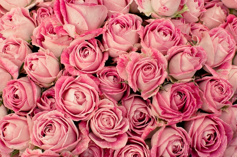 f:id:takiseeedkamen:20141025140356j:plain f:id:takiseeedkamen:20141025140356j:plain