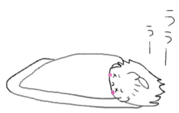 f:id:takitakitakitaki:20121115212420j:image f:id:takitakitakitaki:20121115212420j:image